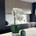 Domaine D'arca - Aragon 12 - 4 Pers Апартаменты Порто-Веккьо