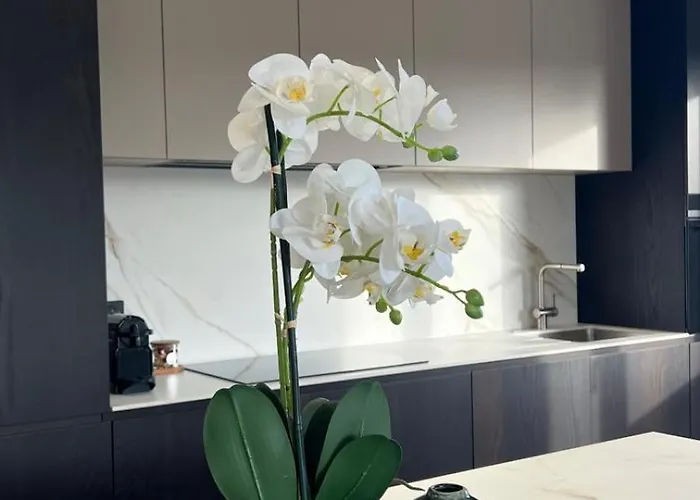 Domaine D'arca - Aragon 12 - 4 Pers Apartment Porto-Vecchio (Corsica)